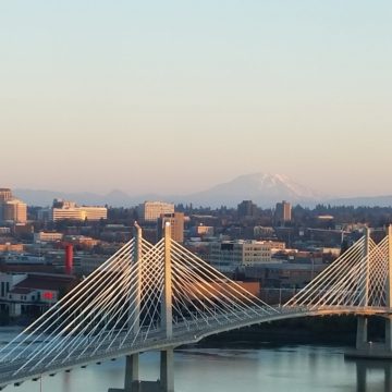 Bridge and city view