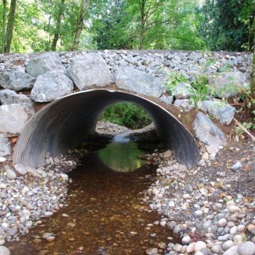 The Family Forest Fish Passage Program helps private forestland owners replace fish-barrier culverts and other structures that keep trout, salmon and other fish from reaching upstream habitat