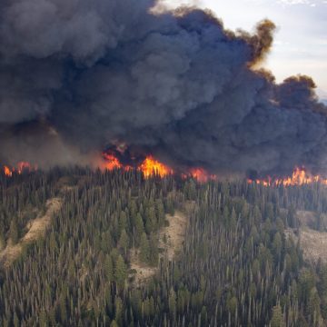 Black plumes of smoke engulf a forest ridge during the Pioneer Fire in Boise National Forest, Idaho, 2016