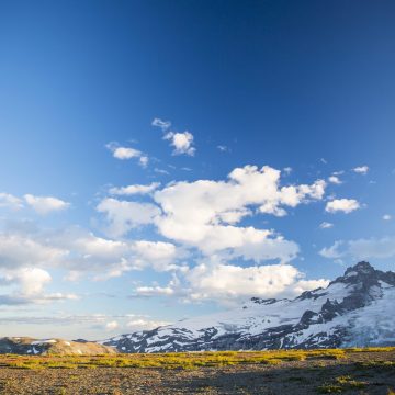 Snowy mountain and golden sunlight at Mount Rainier National Park