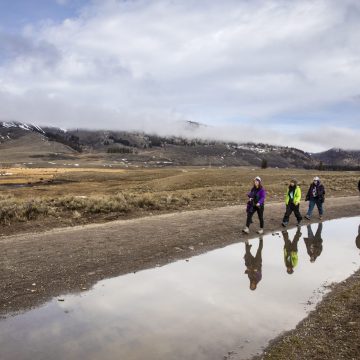 UW Professors and students walking through Yellowstone National Park