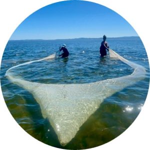 Circular photo of Maria Garcia and colleague dragging a seine net during field work.