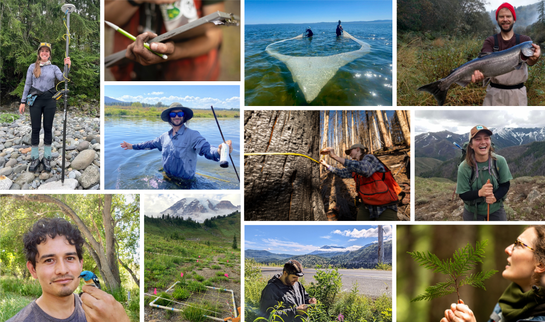 Photo collage of former NW cASC research fellows