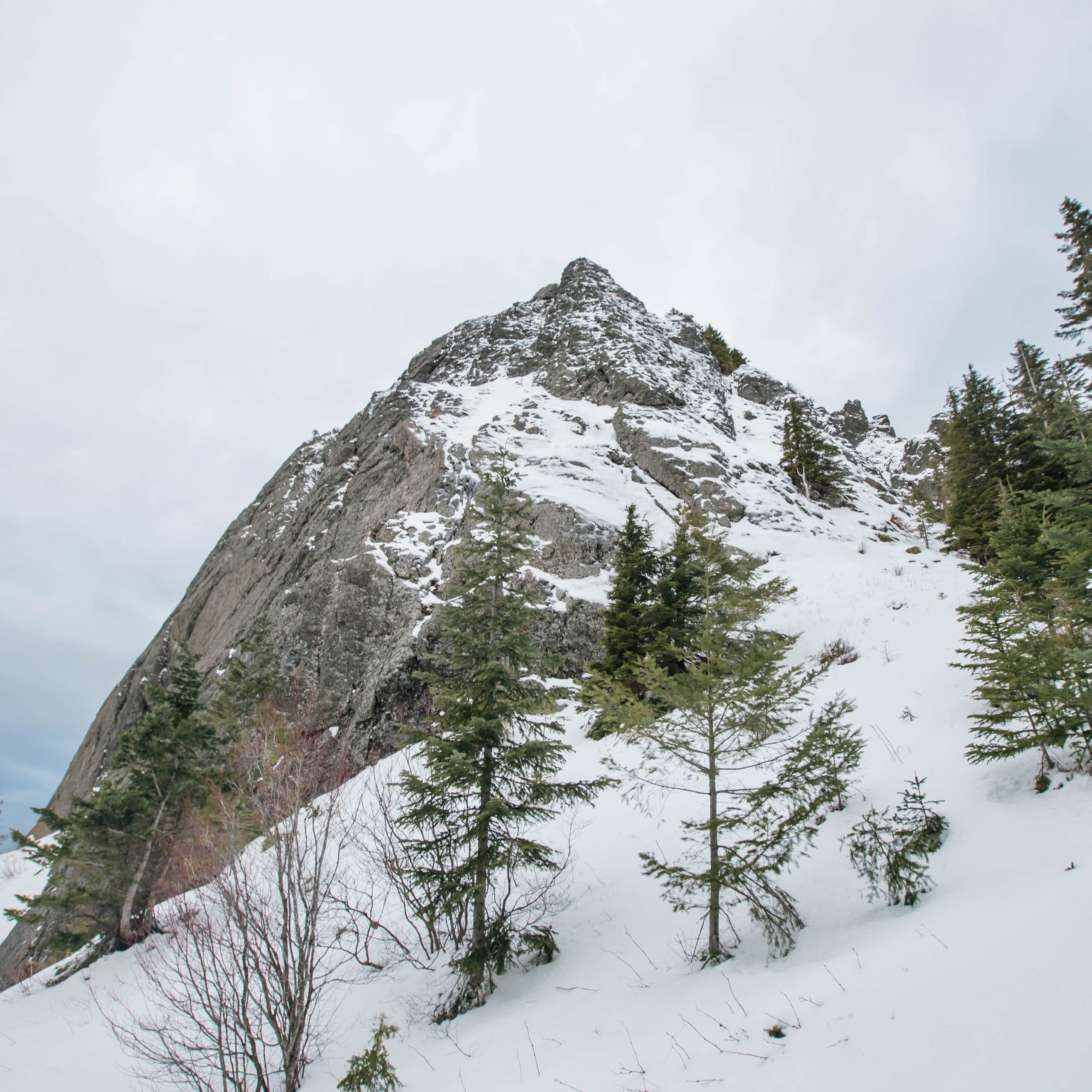 Mount Si rises beyond a steep, snow and tree-covered hill